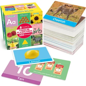 Double-Sided Educational Flashcards